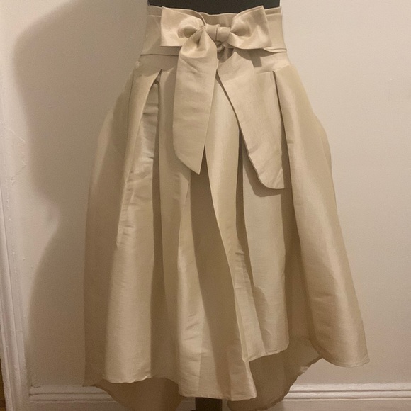 Jasmine Dresses & Skirts - 💜PRICE DROPPED NWOT High-Low Dressy Skirt